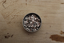 Load image into Gallery viewer, The Glitter Fairy Biodegradable Glitter Silver Super Chunky